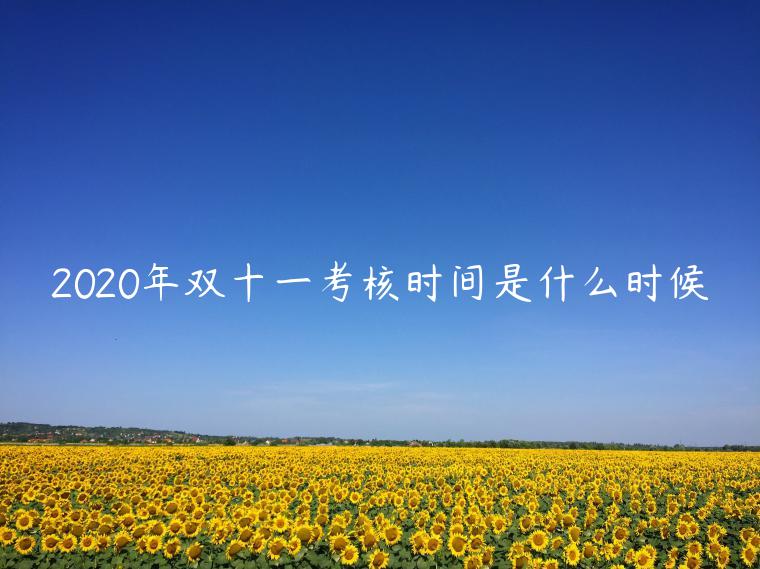 2023年雙十一考核時(shí)間是什么時(shí)候